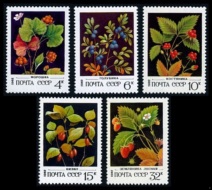 СССР 1982 г. № 5273-5277 Дикорастущие ягоды, серия 5 марок.